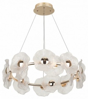 Подвесная люстра Rivoli Shannon Б0061947 в Ноябрьске - noyabrsk.mebel24.online | фото 3