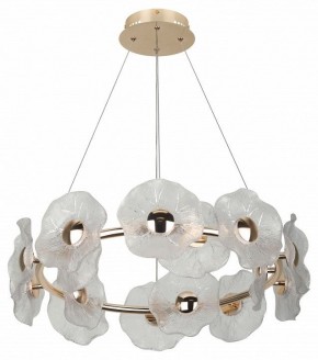 Подвесная люстра Rivoli Shannon Б0061947 в Ноябрьске - noyabrsk.mebel24.online | фото 4