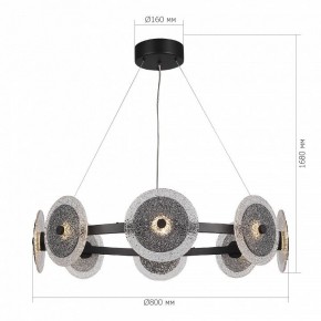 Подвесная люстра ST-Luce ALUMNO SL6142.443.01 в Ноябрьске - noyabrsk.mebel24.online | фото 3
