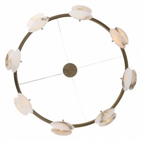 Подвесная люстра ST-Luce Clam SL1520.303.08 в Ноябрьске - noyabrsk.mebel24.online | фото 4