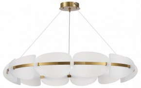 Подвесная люстра ST-Luce Etoile SL1304.203.65 в Ноябрьске - noyabrsk.mebel24.online | фото 3