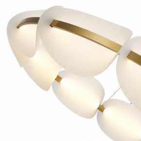 Подвесная люстра ST-Luce Etoile SL1304.203.65 в Ноябрьске - noyabrsk.mebel24.online | фото 6