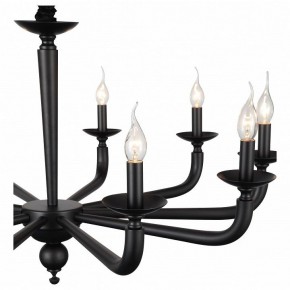 Подвесная люстра ST-Luce SL1114 SL1114.403.10 в Ноябрьске - noyabrsk.mebel24.online | фото 4