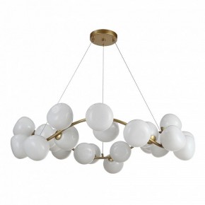 Подвесная люстра ST-Luce Sweven SL1519.303.24 в Ноябрьске - noyabrsk.mebel24.online | фото 2