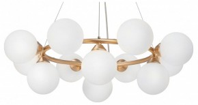 Подвесная люстра Vitaluce V48410 V48410-8/12S в Ноябрьске - noyabrsk.mebel24.online | фото