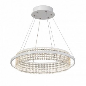 Подвесная люстра Vitaluce V5400 V5400-0/1S в Ноябрьске - noyabrsk.mebel24.online | фото 2