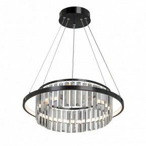 Подвесная люстра Vitaluce V54010 V54010-1/1S в Ноябрьске - noyabrsk.mebel24.online | фото