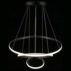 Подвесной светильник Aployt Janina APL.018.03.60 в Ноябрьске - noyabrsk.mebel24.online | фото 12