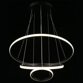 Подвесной светильник Aployt Janina APL.018.03.60 в Ноябрьске - noyabrsk.mebel24.online | фото 7