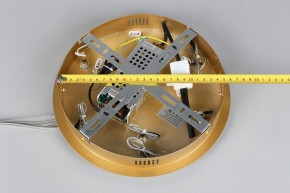 Подвесной светильник Aployt Janina APL.018.13.60 в Ноябрьске - noyabrsk.mebel24.online | фото 11