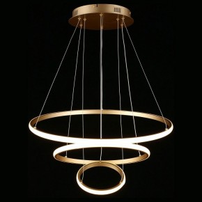 Подвесной светильник Aployt Janina APL.018.13.60 в Ноябрьске - noyabrsk.mebel24.online | фото 4