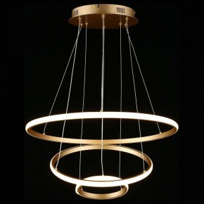 Подвесной светильник Aployt Janina APL.018.13.60 в Ноябрьске - noyabrsk.mebel24.online | фото 5