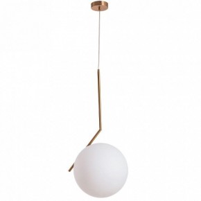 Подвесной светильник Arte Lamp Bolla-Unica A1921SP-1AB в Ноябрьске - noyabrsk.mebel24.online | фото 2