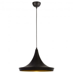 Подвесной светильник Arte Lamp Capello A3406SP-1BK в Ноябрьске - noyabrsk.mebel24.online | фото 2