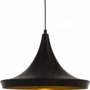 Подвесной светильник Arte Lamp Capello A3406SP-1BK в Ноябрьске - noyabrsk.mebel24.online | фото 3