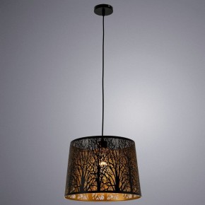 Подвесной светильник Arte Lamp Celesta A2769SP-1BK в Ноябрьске - noyabrsk.mebel24.online | фото 3