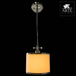 Подвесной светильник Arte Lamp Furore A3990SP-1CC в Ноябрьске - noyabrsk.mebel24.online | фото 3