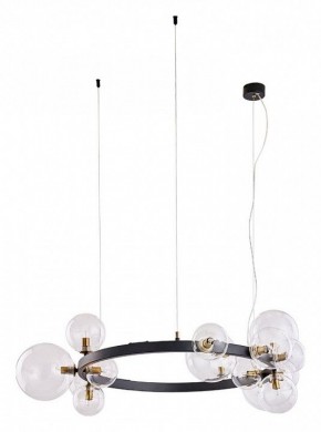 Подвесной светильник Arte Lamp Vincent A7790SP-15BK в Ноябрьске - noyabrsk.mebel24.online | фото 2