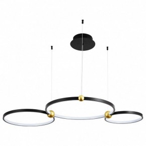 Подвесной светильник Divinare Amadeo 1123/04 SP-75 в Ноябрьске - noyabrsk.mebel24.online | фото