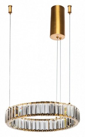 Подвесной светильник Divinare Renata 1135/17 SP-25 в Ноябрьске - noyabrsk.mebel24.online | фото 2