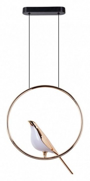 Подвесной светильник Divinare Summer 1188/01 SP-9 в Ноябрьске - noyabrsk.mebel24.online | фото 2