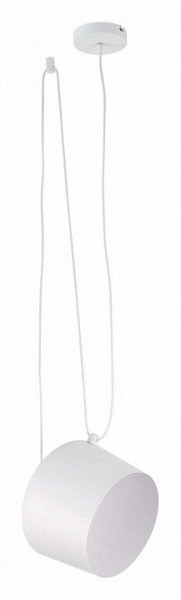 Подвесной светильник EVOLUCE Trieste SLE120653-01 в Ноябрьске - noyabrsk.mebel24.online | фото 2