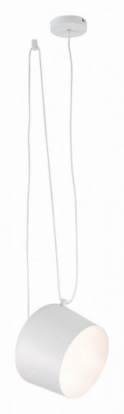 Подвесной светильник EVOLUCE Trieste SLE120653-01 в Ноябрьске - noyabrsk.mebel24.online | фото 3