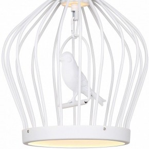 Подвесной светильник Favourite Chick 1931-2P в Ноябрьске - noyabrsk.mebel24.online | фото 3