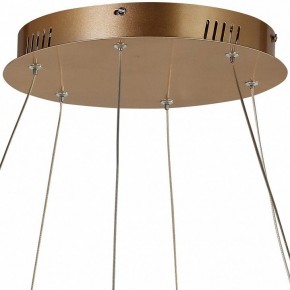 Подвесной светильник Favourite Hexagon 2103-14P в Ноябрьске - noyabrsk.mebel24.online | фото 5