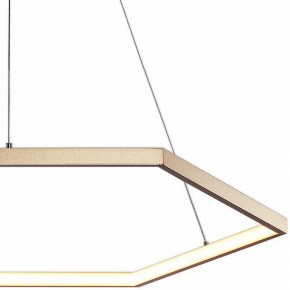 Подвесной светильник Favourite Hexagon 2103-6P в Ноябрьске - noyabrsk.mebel24.online | фото 3