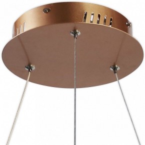 Подвесной светильник Favourite Hexagon 2103-6P в Ноябрьске - noyabrsk.mebel24.online | фото 4