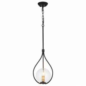 Подвесной светильник Favourite Kessel 1905-1P в Ноябрьске - noyabrsk.mebel24.online | фото 2