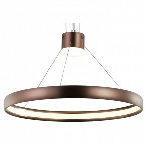 Подвесной светильник Favourite Saturn 2102-2P в Ноябрьске - noyabrsk.mebel24.online | фото 1