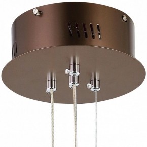 Подвесной светильник Favourite Saturn 2102-2P в Ноябрьске - noyabrsk.mebel24.online | фото 5