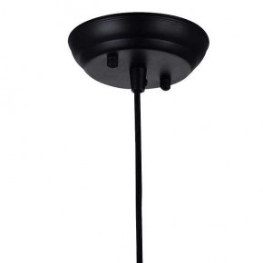 Подвесной светильник Favourite Strainer 1788-1P в Ноябрьске - noyabrsk.mebel24.online | фото 3