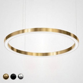 Подвесной светильник Imperiumloft Light Ring Horizontal 40.1454-120 в Ноябрьске - noyabrsk.mebel24.online | фото
