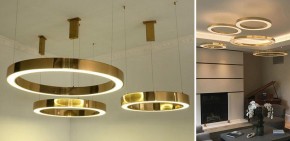 Подвесной светильник Imperiumloft Light Ring Horizontal 40.1454-120 в Ноябрьске - noyabrsk.mebel24.online | фото 2