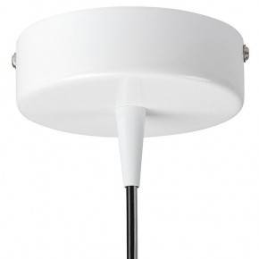 Подвесной светильник Lightstar Conicita 804110 в Ноябрьске - noyabrsk.mebel24.online | фото 6