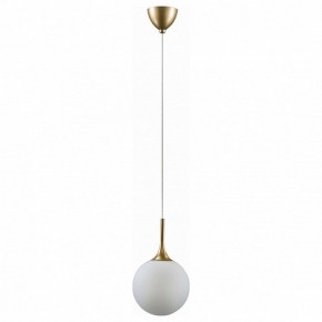 Подвесной светильник Lightstar Globo 813022 в Ноябрьске - noyabrsk.mebel24.online | фото 2