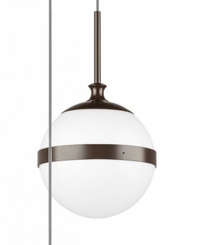 Подвесной светильник Lightstar Globo 813137 в Ноябрьске - noyabrsk.mebel24.online | фото 5