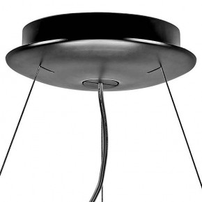 Подвесной светильник Lightstar Nibbler 812236 в Ноябрьске - noyabrsk.mebel24.online | фото 6