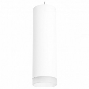 Подвесной светильник Lightstar Rullo RP649680 в Ноябрьске - noyabrsk.mebel24.online | фото 2