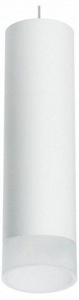 Подвесной светильник Lightstar Rullo RP649681 в Ноябрьске - noyabrsk.mebel24.online | фото 1