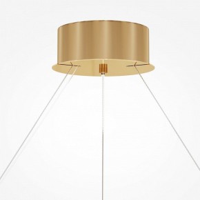 Подвесной светильник Maytoni Castello MOD336PL-L170G3K в Ноябрьске - noyabrsk.mebel24.online | фото 4