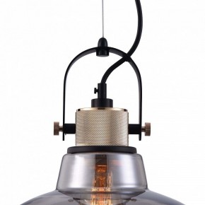 Подвесной светильник Maytoni Irving T163PL-01C в Ноябрьске - noyabrsk.mebel24.online | фото 9