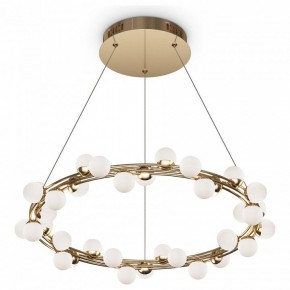 Подвесной светильник Maytoni Tessara MOD081PL-L50G3K в Ноябрьске - noyabrsk.mebel24.online | фото 2
