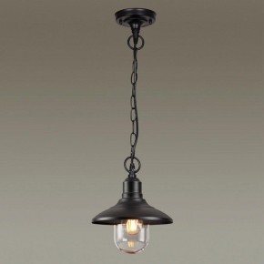 Подвесной светильник Odeon Light Campa 4965/1 в Ноябрьске - noyabrsk.mebel24.online | фото 2