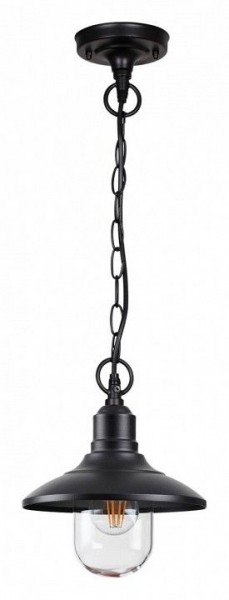Подвесной светильник Odeon Light Campa 4965/1 в Ноябрьске - noyabrsk.mebel24.online | фото 3