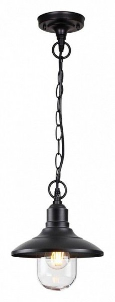 Подвесной светильник Odeon Light Campa 4965/1 в Ноябрьске - noyabrsk.mebel24.online | фото 4