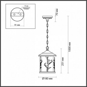 Подвесной светильник Odeon Light Cuita 4963/1 в Ноябрьске - noyabrsk.mebel24.online | фото 6